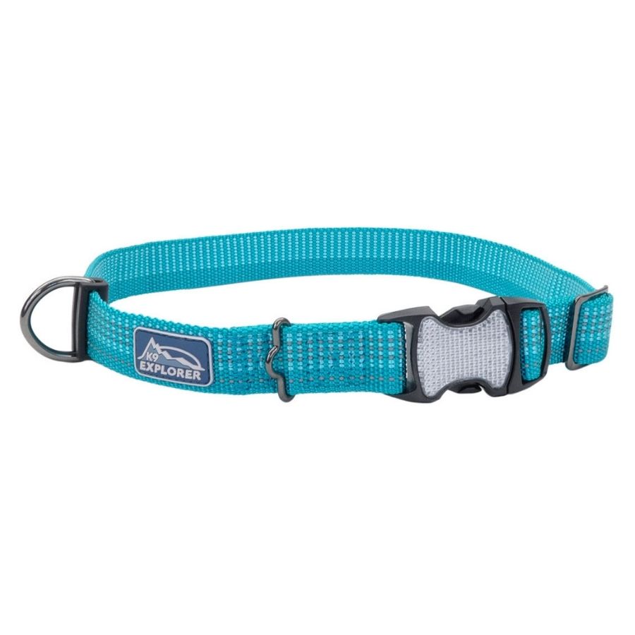 Collar brights reflective adjustable dog, ocean